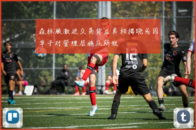 森林狼激进交易背后真相揭晓或因华子对管理层施压所致