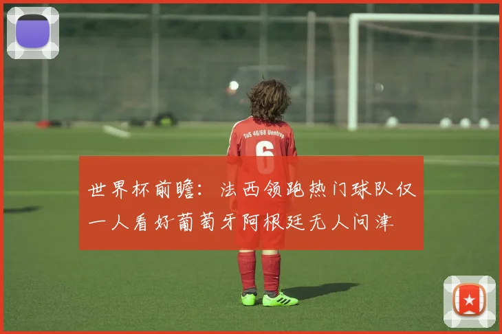 世界杯前瞻：法西领跑热门球队仅一人看好葡萄牙阿根廷无人问津