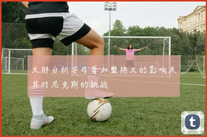 文胖分析字母哥加盟热火的影响及其对尼克斯的挑战